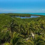 Isla Contoy and Isla Mujeres Tour with Snorkeling from Cancun - Lunch on Isla Contoy: A Taste of the Caribbean