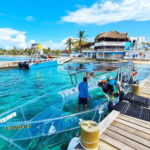 Isla mujeres: 100% transparent boat ride on board the boat - How This Tour Fits Into Your Isla Mujeres Visit