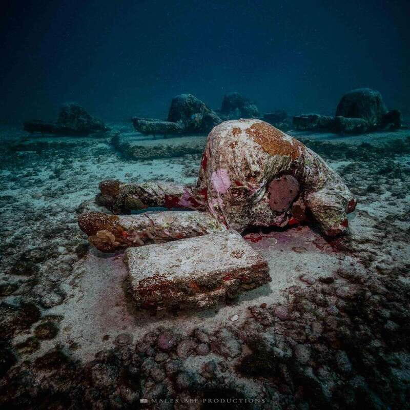 Isla Mujeres: MUSA and the Manchones Reef: 2 Tank Dive Tour - A Closer Look at What to Expect