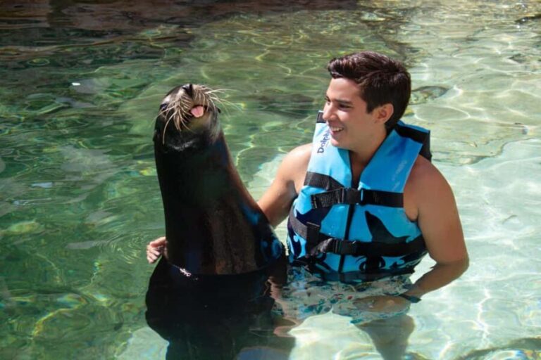Isla Mujeres: Sea Lion & Manatee Interaction with Buffet - A Detailed Look at the Tour Experience
