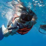 Isla Mujeres: Snorkel Tour at Musa and Manchones Reef - What Makes This Tour Stand Out?