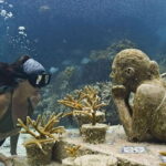 Isla Mujeres: Snorkeling in Underwater Museum - An In-Depth Look at the Tour Experience