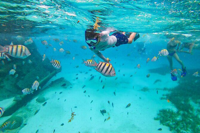 Isla Mujeres Tour, Snorkel and Golf Cart included - In-Depth Review of the Isla Mujeres Tour, Snorkel and Golf Cart Included