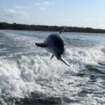 Islamorada: Private Snorkel & Sandbar Adventure - Who Should Consider This Tour?
