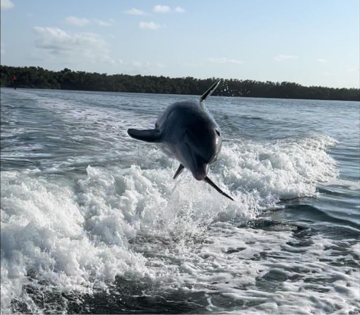 Islamorada: Private Snorkel & Sandbar Adventure - Who Should Consider This Tour?