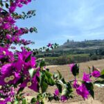 Island Day Tour with a Private Local Driver - Frequently Asked Questions