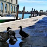 Island Hopping Tour: Mazzorbo, Burano and Murano - Frequently Asked Questions