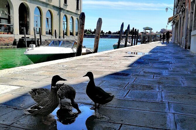 Island Hopping Tour: Mazzorbo, Burano and Murano - Frequently Asked Questions
