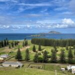 Island Orientation Tour with Airport Transfer Norfolk Island - Who Will Love This Tour?