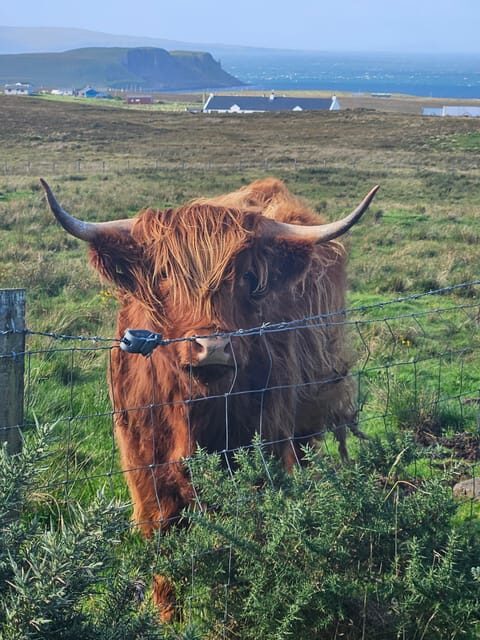 Isle of Skye: Tour the highlights and hidden beauties. - Exploring the Isle of Skye: An In-Depth Look at the Tour