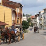 Istanbul: 3 Princes' Islands Cruise with Lunch and Guide - FAQ