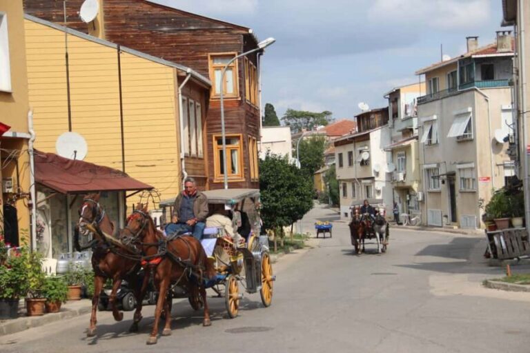 Istanbul: 3 Princes' Islands Cruise with Lunch and Guide - FAQ