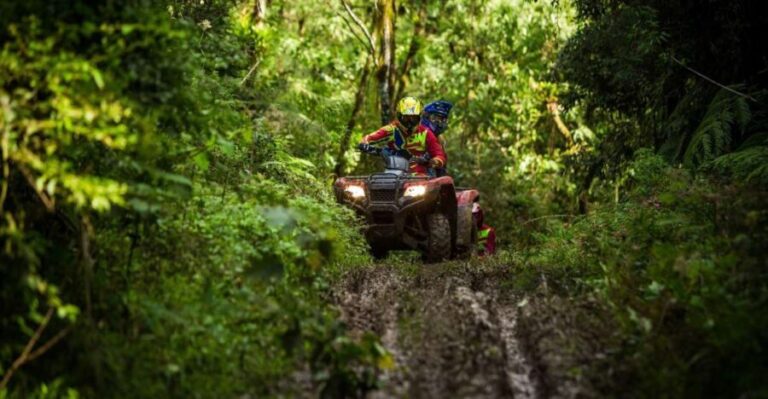 Istanbul: Belgrad Forest ATV Tour with Ziplining Option - What makes this tour worth considering?