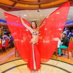 Istanbul Bosphorus: Dinner Cruise & Folklore & Belly Dance - Detailed Review of the Istanbul Bosphorus Dinner Cruise