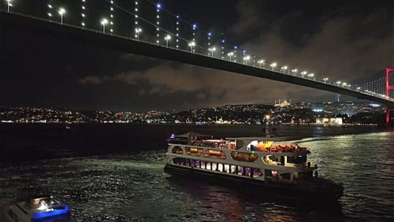 Istanbul: Bosphorus Dinner Cruise with Drinks & Turkish Show - Who Should Consider This Tour?