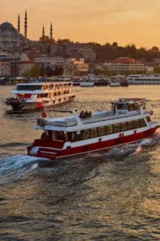 Istanbul: Bosphorus Morning/Sunset Cruise with Optional Stop - Who Will Enjoy This Tour?