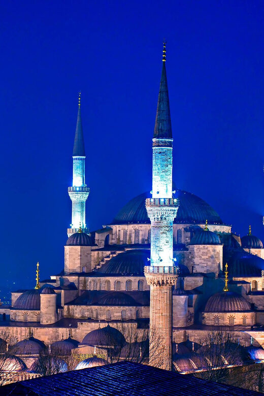 Istanbul: Byzantine & Ottoman Relics Eco with Lunch & Guide - Who Will Love This Tour?