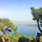 Istanbul: Day Trip to the Princes' Islands - The Balance of Value and Experience