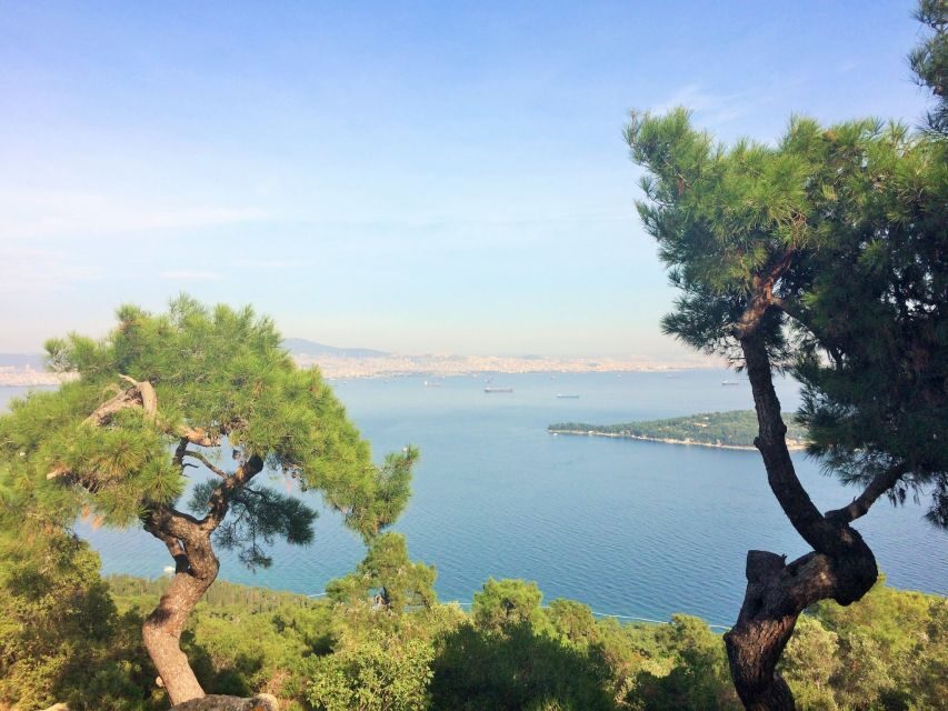 Istanbul: Day Trip to the Princes' Islands - The Balance of Value and Experience