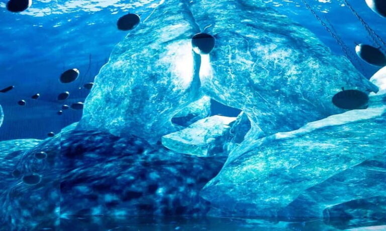 Istanbul: Digital Experience Museum Entry Ticket - Who Would Love This Experience?