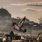 Istanbul: Full-Day Private Guided Tour - Final Thoughts: Is This Tour Right for You?