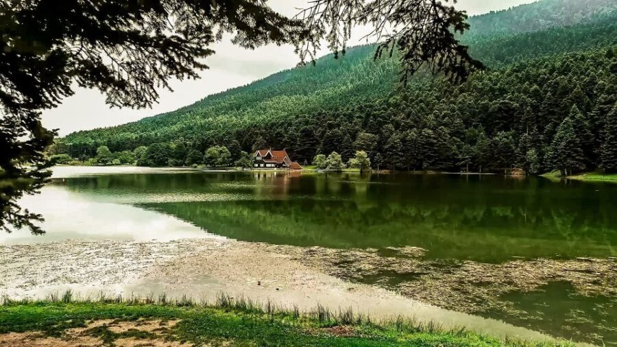 Istanbul: Full-Day Sapanca Lake and Masukiye Tour with Lunch - A Detailed Look at the Full-Day Sapanca Lake and Masukiye Tour