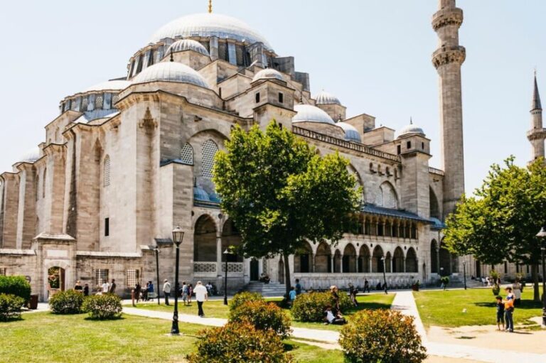 Istanbul: Hagia Sophia, Blue Mosque, Suleymaniye Mosque Tour - Why Choose This Tour?
