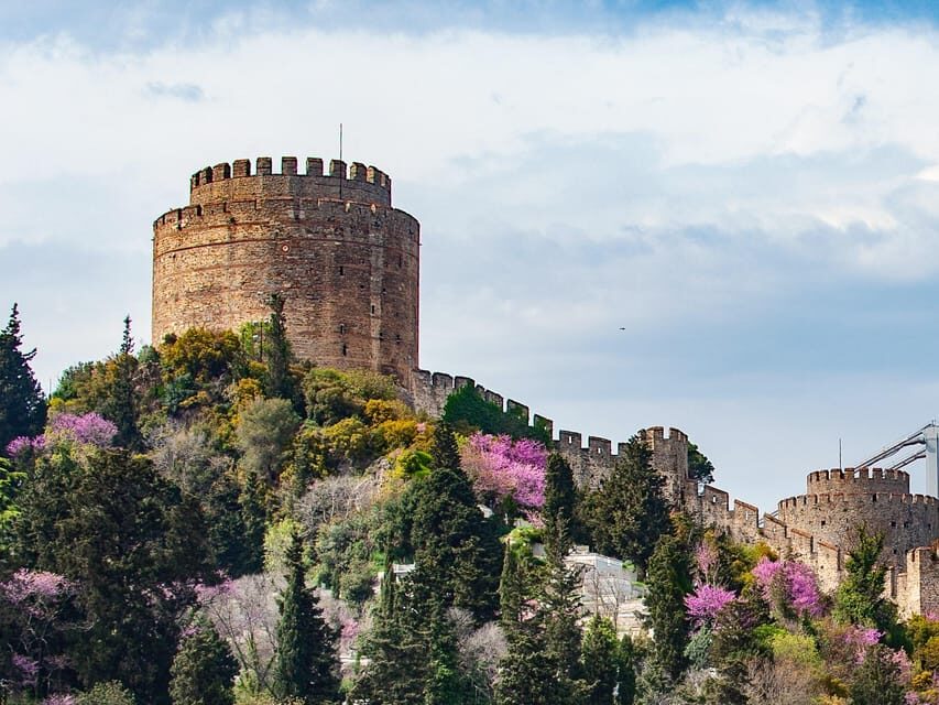 Istanbul: Morning or Sunset Cruise with Guide and Snacks - Who Should Consider This Tour?