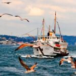 Istanbul: Private Bosphorus Cruise By Luxury Yacht - Is It Worth the Price?
