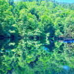 Istanbul: Sapanca, Bolu, Safranbolu and Amasra guided tour - Exploring the Hidden Gems of Turkey’s Black Sea Region