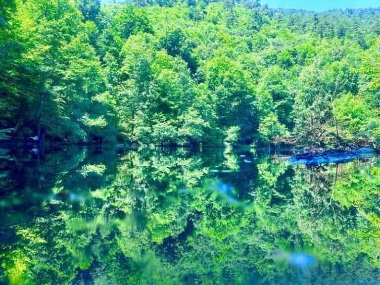 Istanbul: Sapanca, Bolu, Safranbolu and Amasra guided tour - Exploring the Hidden Gems of Turkey’s Black Sea Region