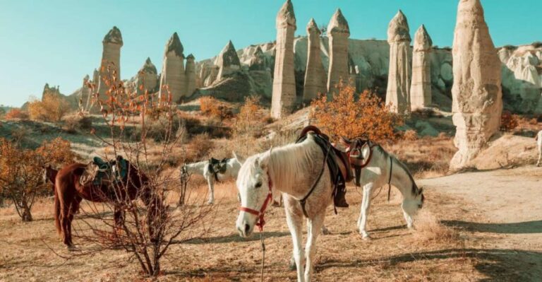 Istanbul to Cappadocia All Inclusive Private Day Tour - A Practical, In-Depth Look at the Istanbul to Cappadocia Tour
