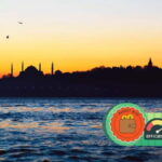 Istanbul Tour on a Budget: No Lines, No Tickets, No Stress - Exploring Istanbul’s Exterior: A Walk with Stories and Views