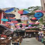 Istanbul Walking Food Tour With Secret Food Tours - Practical Details and Tips