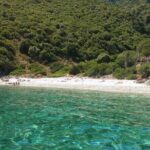Ithaca Cruise swim stops to beaches- With snacks & fruit - The Real Value in the Experience