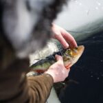 Ivalo: A Day in the Life of Reindeer Herders - Authenticity and Value