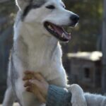 IVALO: Experience Farm Visit | small group - FAQ