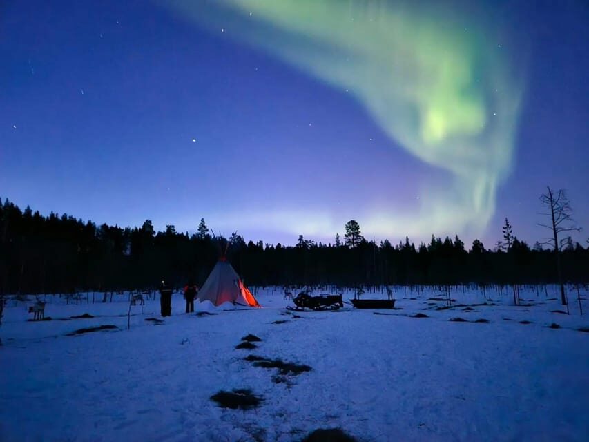 Ivalo: Northern Lights and Reindeer Farm Experience - A Closer Look at the Tour