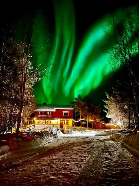 Ivalo: Private Farm Visit & Husky Experience - Practical Information & Tips for Travelers
