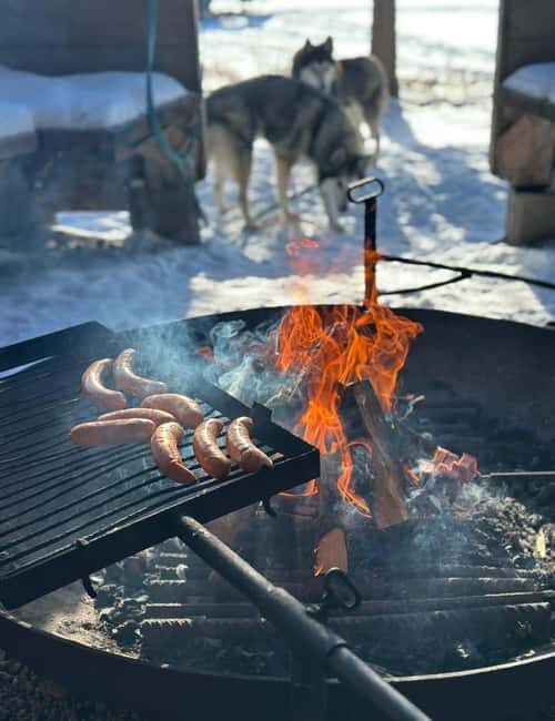 IVALO: Snowmobile Sled Ride to Wilderness - Who Should Consider This Tour?