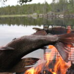 Ivalo: Summer Day/Evening on a Lake in the Wild - An In-Depth Look at the Experience