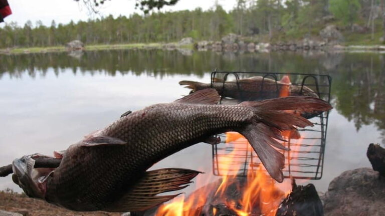 Ivalo: Summer Day/Evening on a Lake in the Wild - An In-Depth Look at the Experience