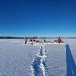 Ivalo:Sleighride Tour and Fishing on a Lake in the Wild - The Value of the Experience