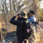 Ixtapa: Bird Watching Tour with Round-Trip Transportation - Final Thoughts: Who Should Consider This Tour?