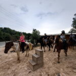 Ixtapa: Horseback Riding Tour Along Playa Larga - What To Expect During the Tour