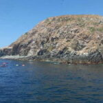 Ixtapa: Marine Life Exploration - Why It’s Worth Considering