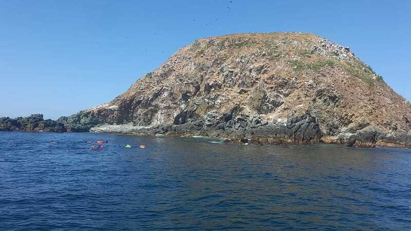 Ixtapa: Marine Life Exploration - Why It’s Worth Considering