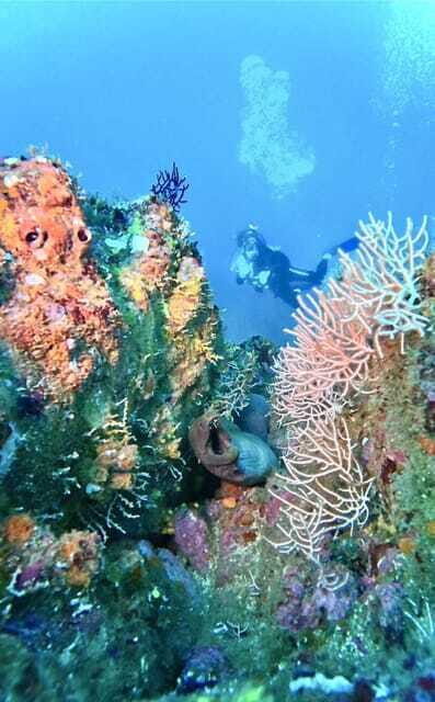 Ixtapa: Scuba Diver Course - Frequently Asked Questions