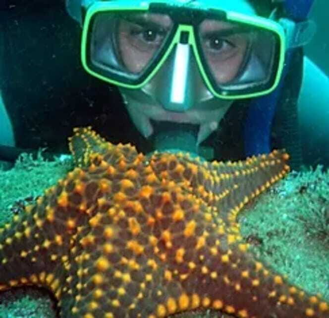 Ixtapa: Underwater Adventures in Zihuatanejo - What Makes This Tour Special