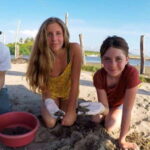 Ixtapa-Zihuatanejo: Turtle Release Tour. - Who Should Consider This Tour?